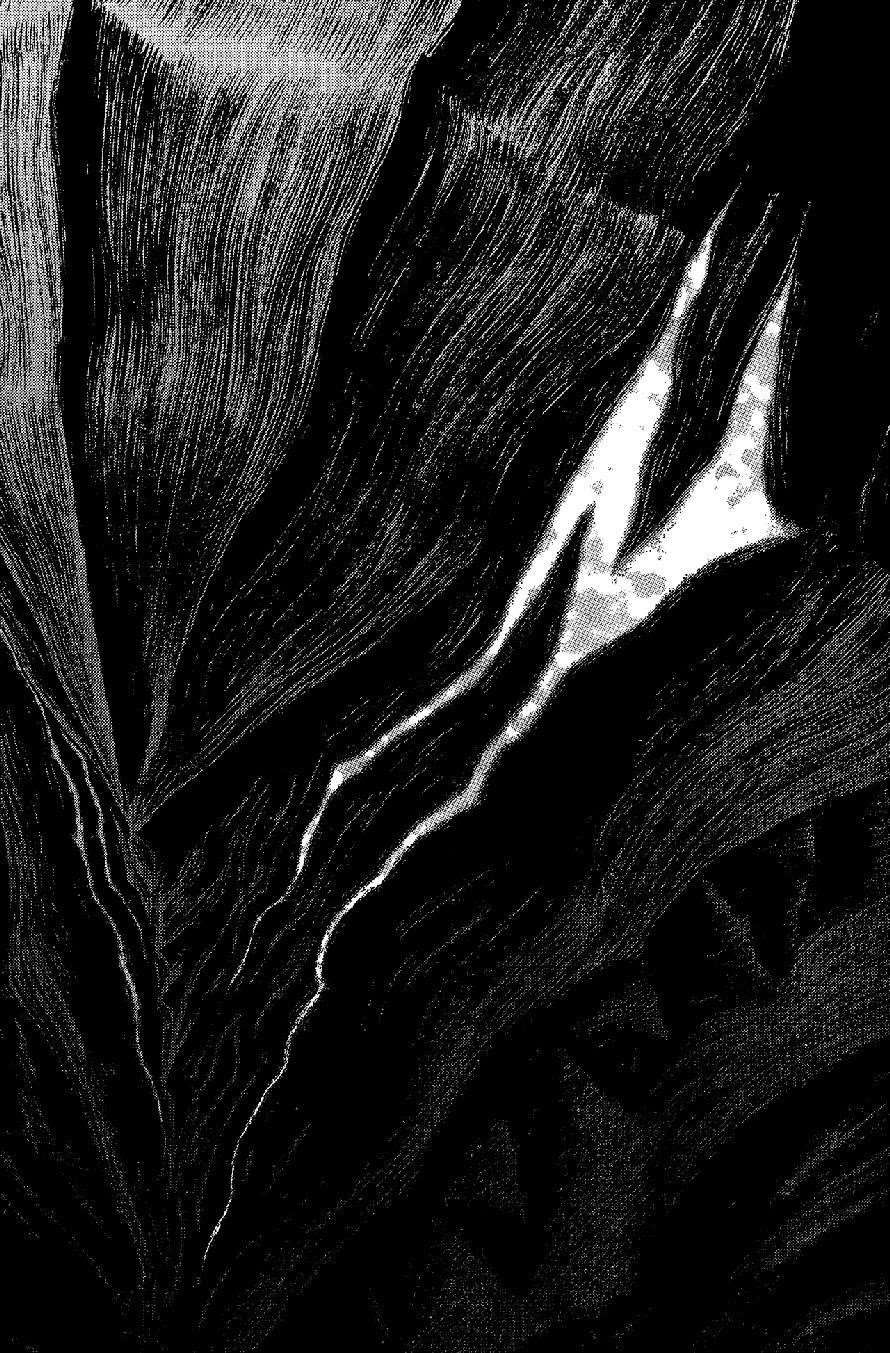 Chapter 315 (Image 9)
