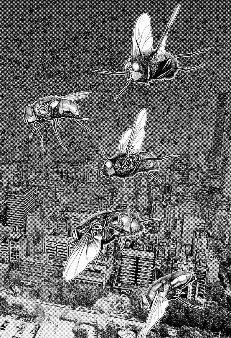Chapter 186 (Image 24)