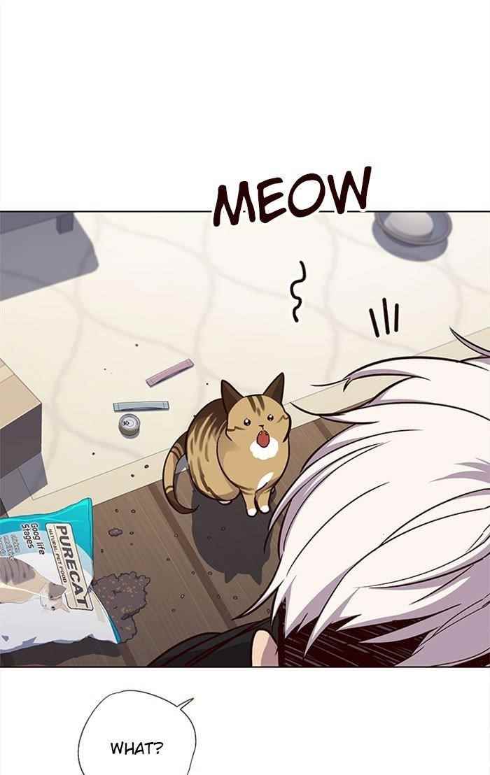 Chapter 35 (Image 10)