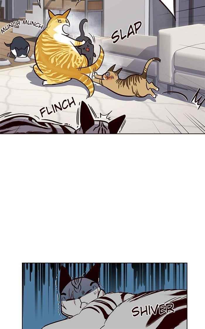 Chapter 37 (Image 49)