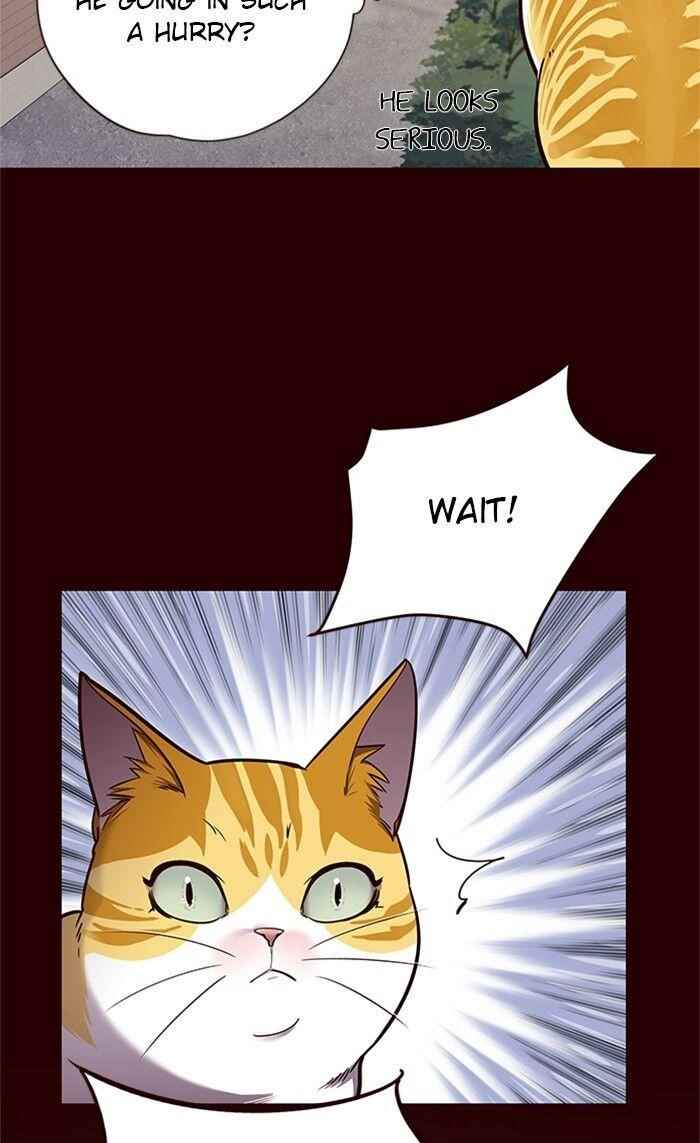 Chapter 52 (Image 40)