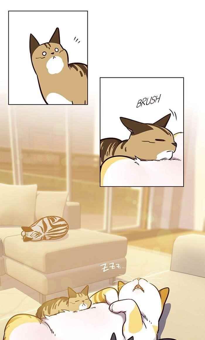 Chapter 56 (Image 21)
