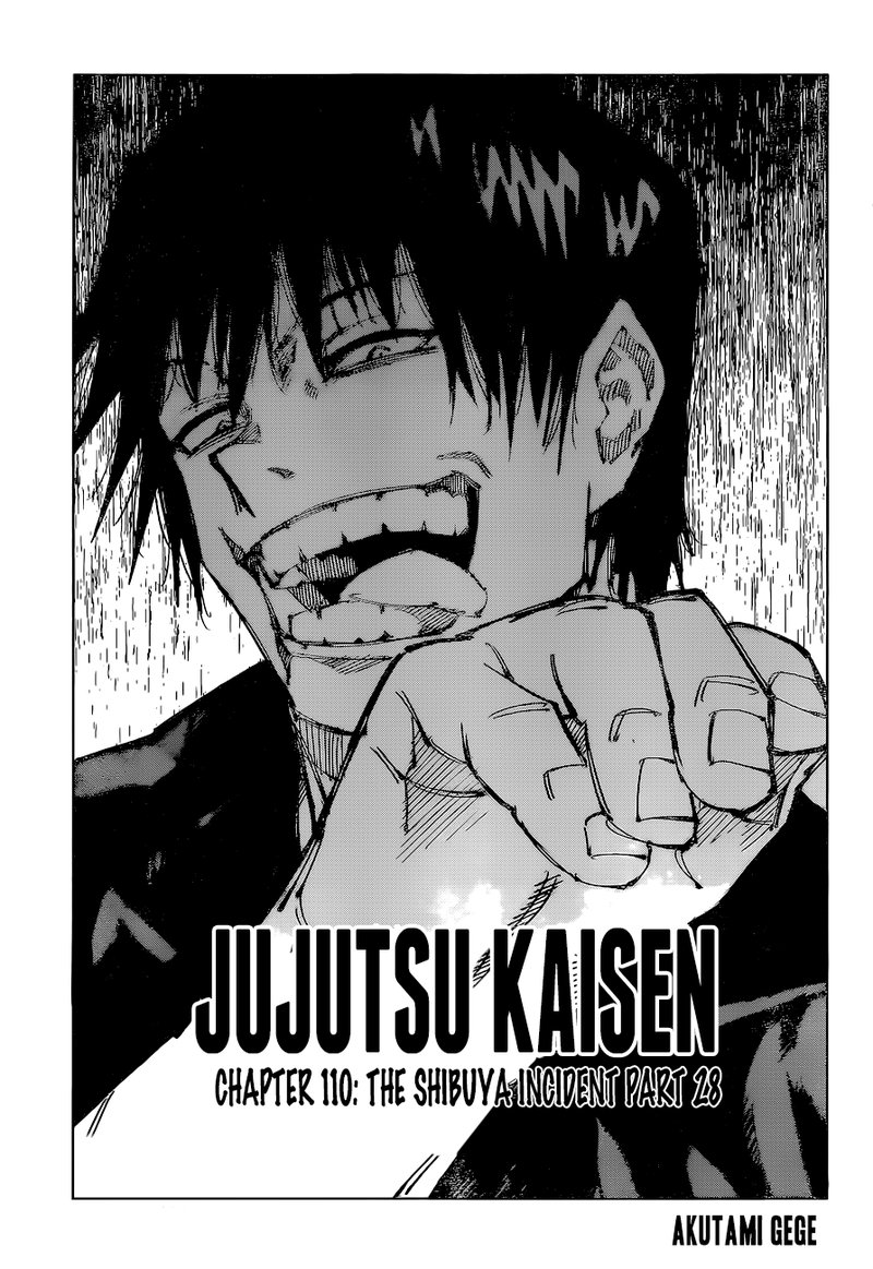 Chapter 110 (Image 1)