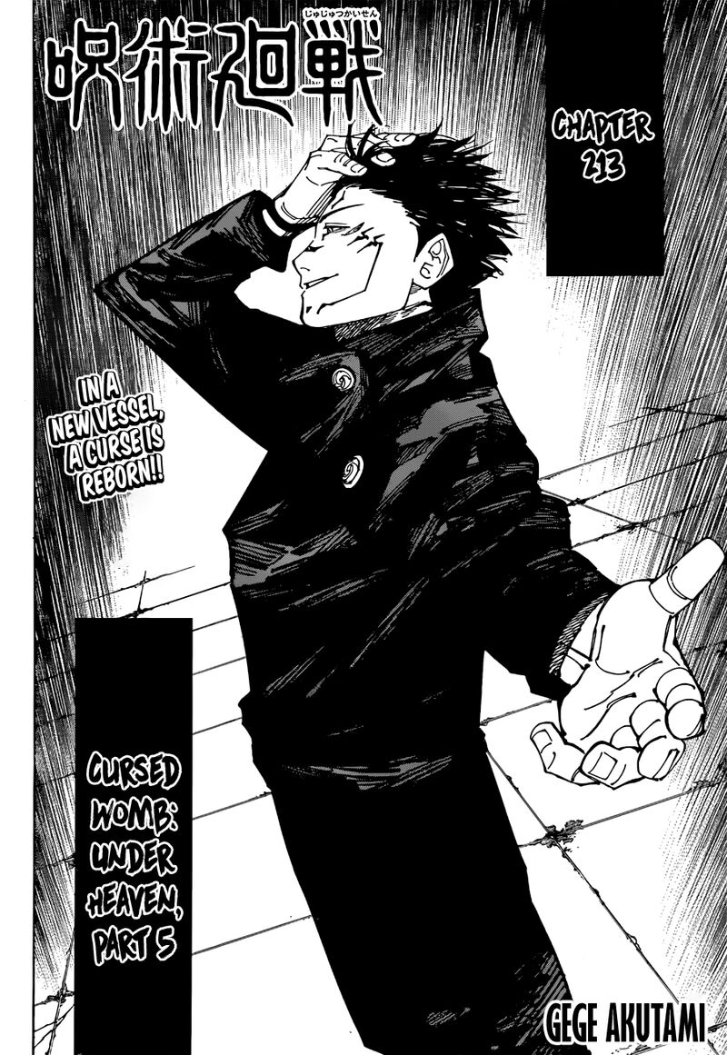 Chapter 213 (Image 2)