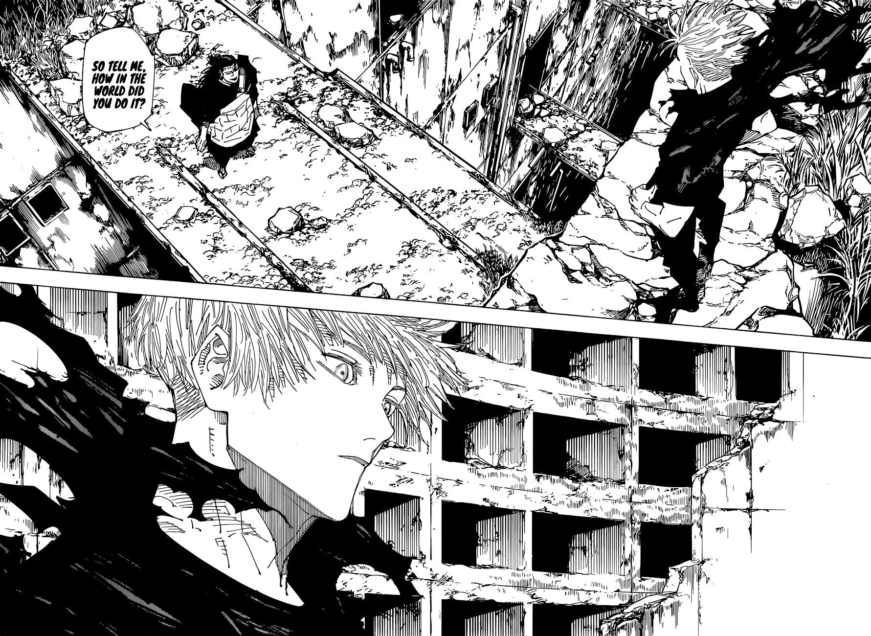 Chapter 221 (Image 10)