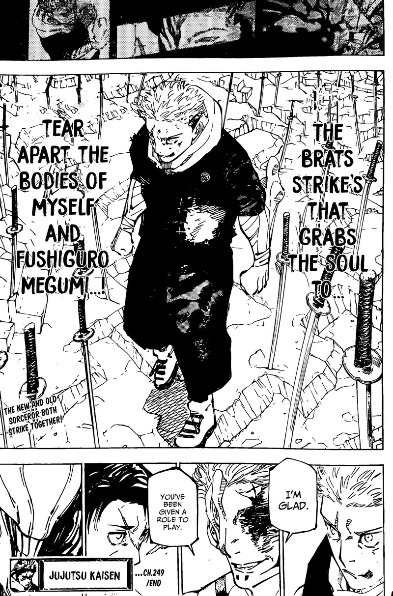 Chapter 249 (Image 17)