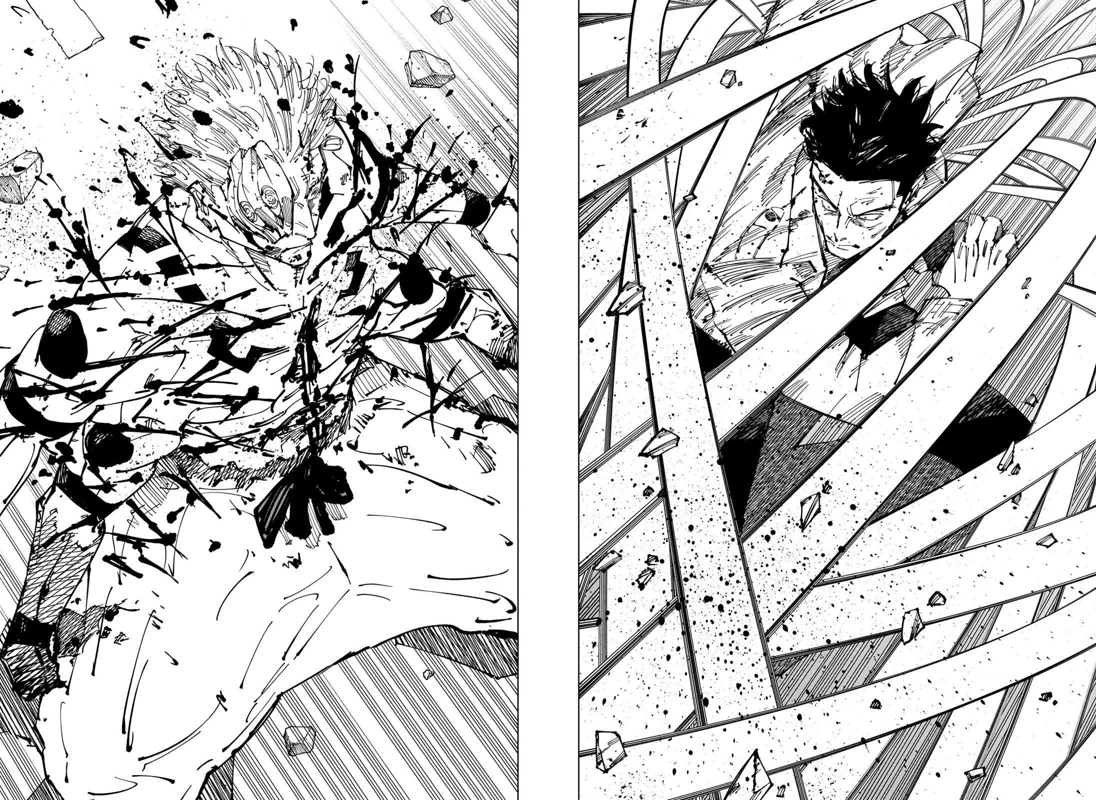 Chapter 254 (Image 8)