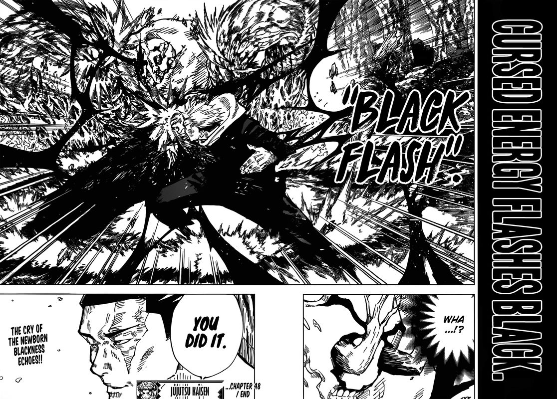 Chapter 48 - Black Flash (Image 18)