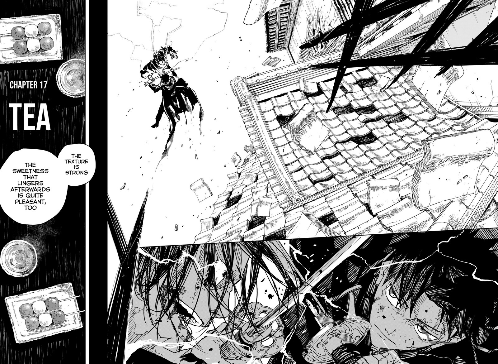 Chapter 17 (Image 2)