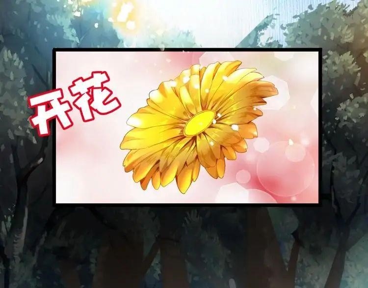 Chapter 3 (Image 25)
