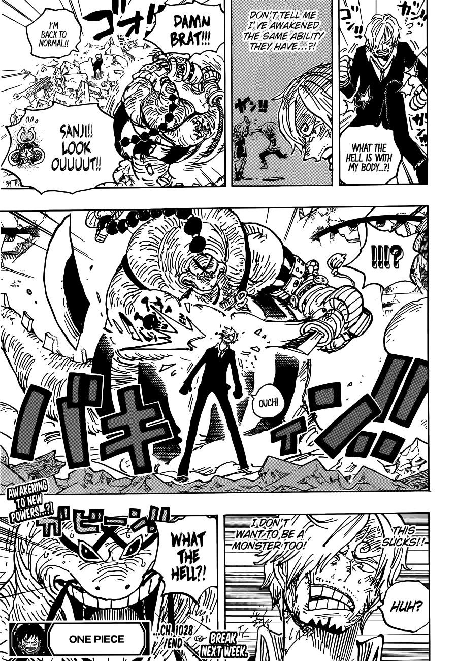 Chapter 1028 (Image 17)