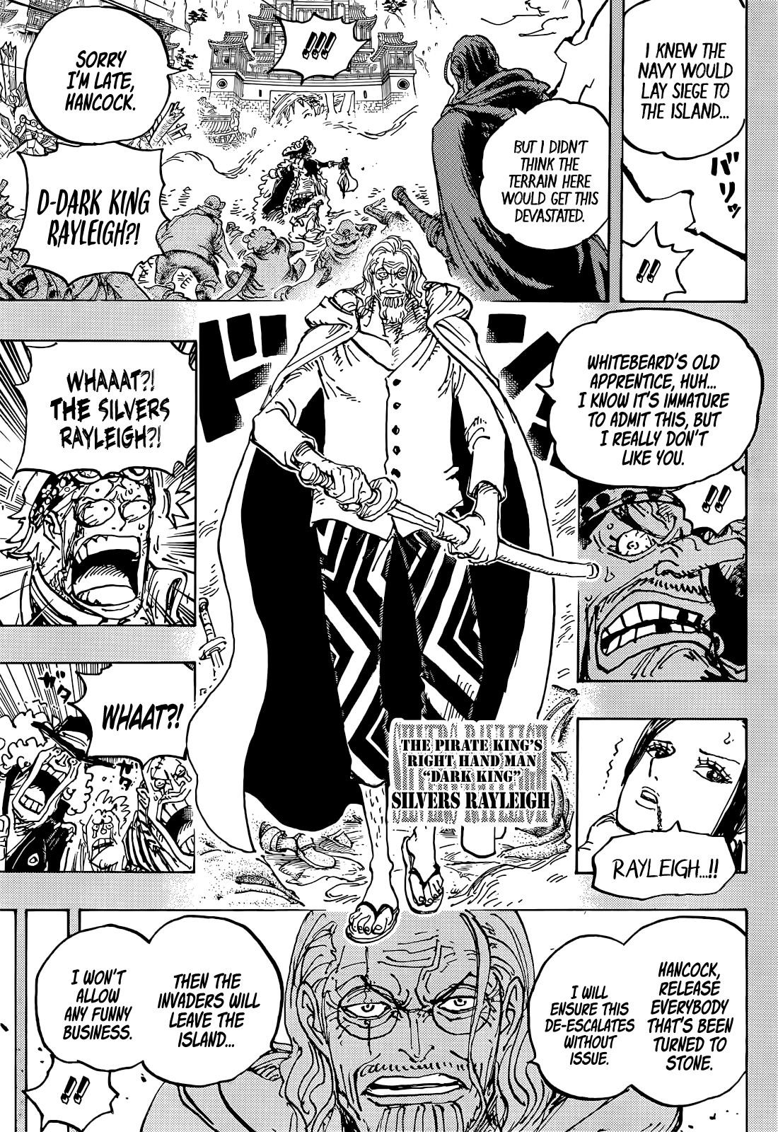 Chapter 1059 (Image 14)