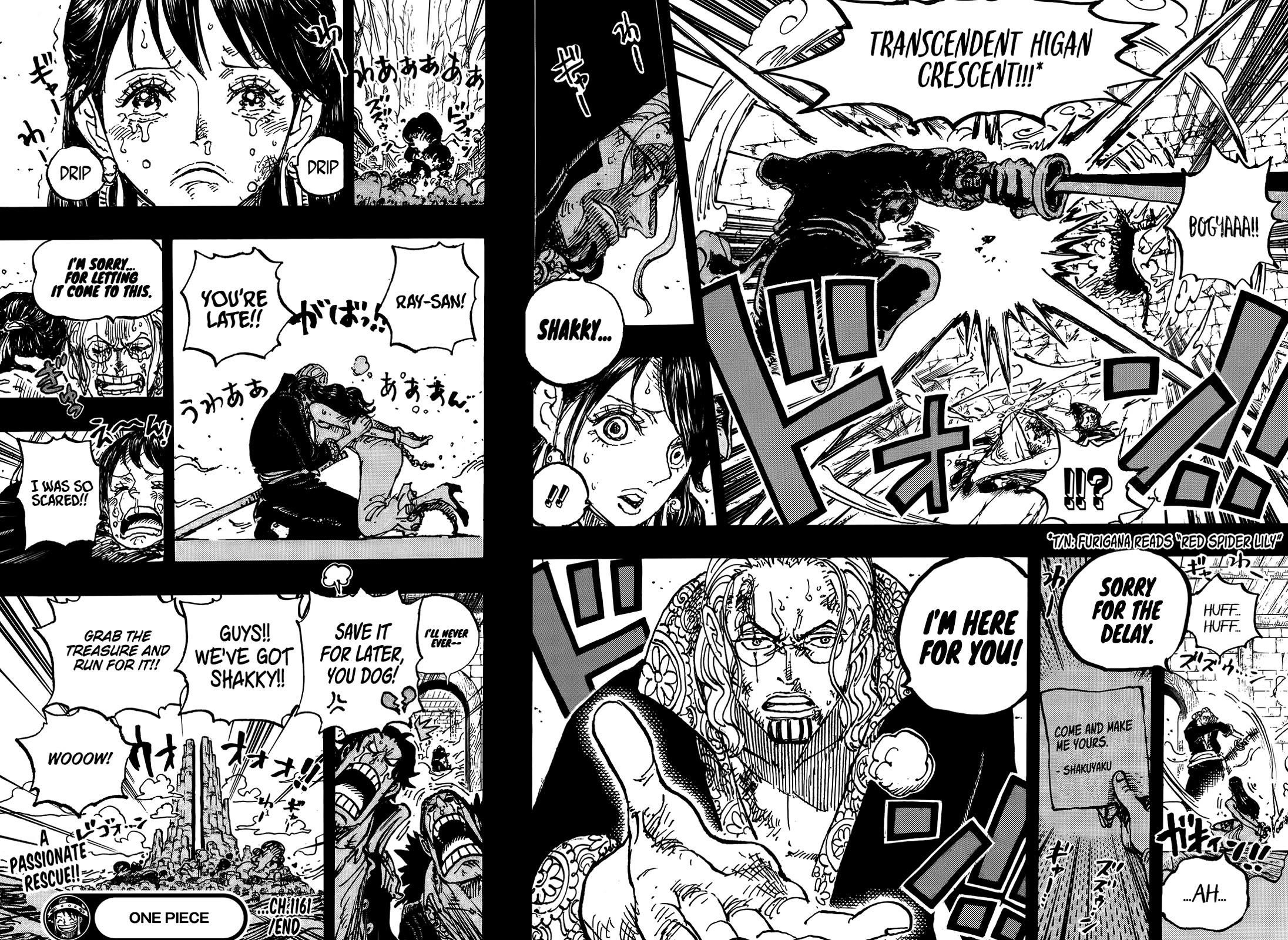 Chapter 1161 (Image 16)