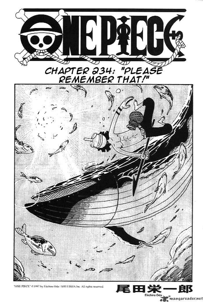 Chapter 234 - Please Remember That (Image 1)
