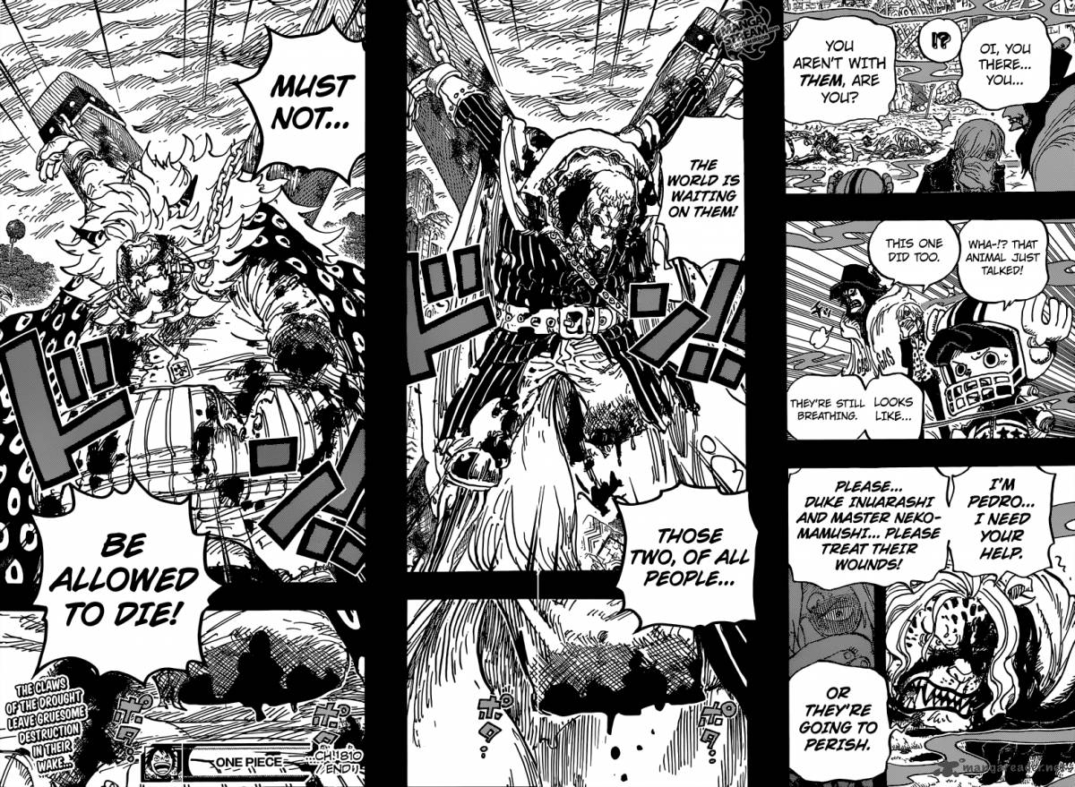 Chapter 810 - The Curly Hat Pirates Arrive (Image 18)