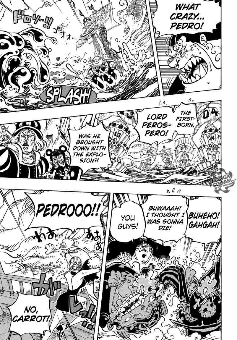 Chapter 878 - Mink Tribe Guardians Chief Pedro (Image 7)