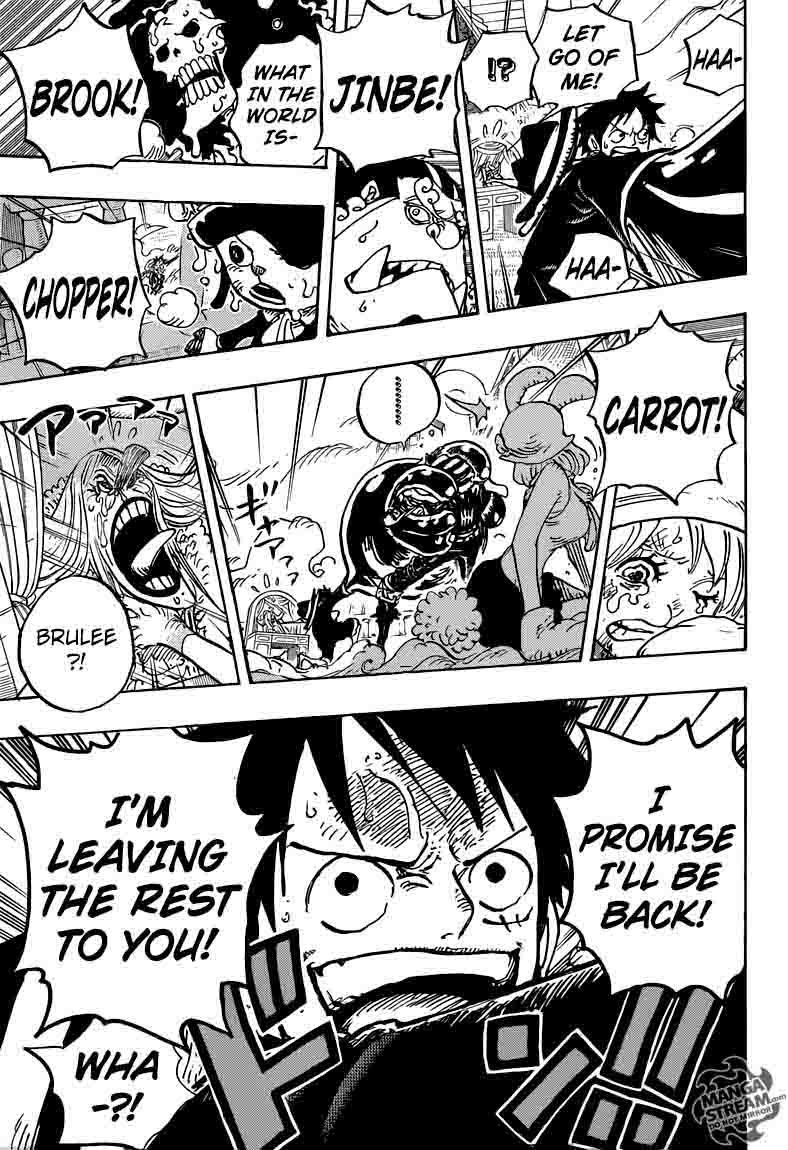 Chapter 878 - Mink Tribe Guardians Chief Pedro (Image 15)