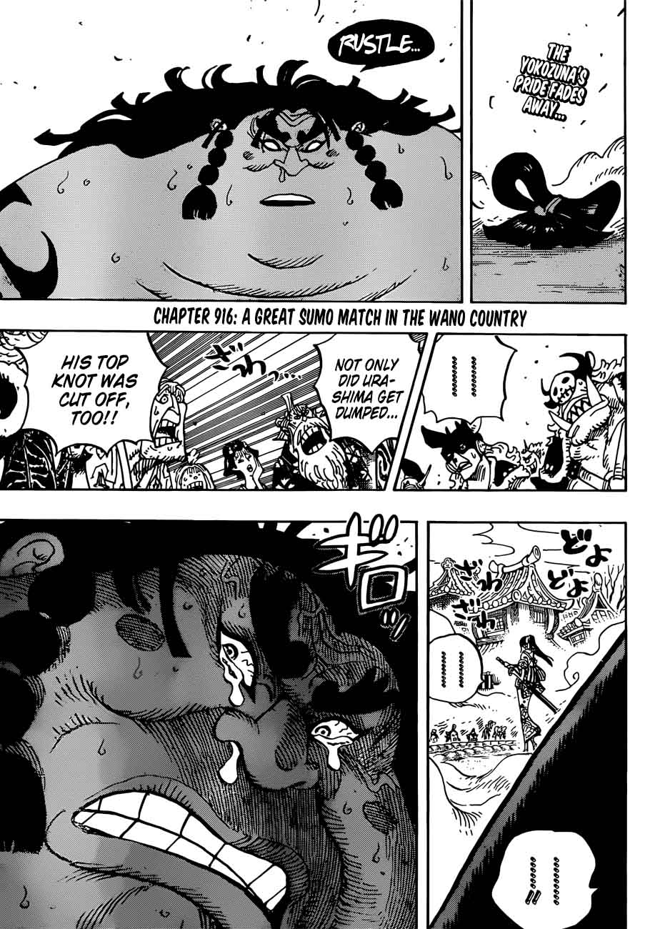 Chapter 916 - A Great Sumo Match in The Wano Country (Image 3)