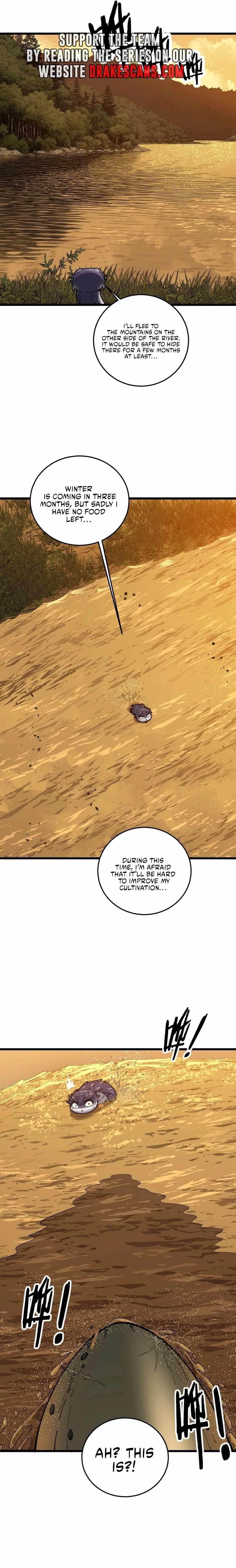 Chapter 4 (Image 6)