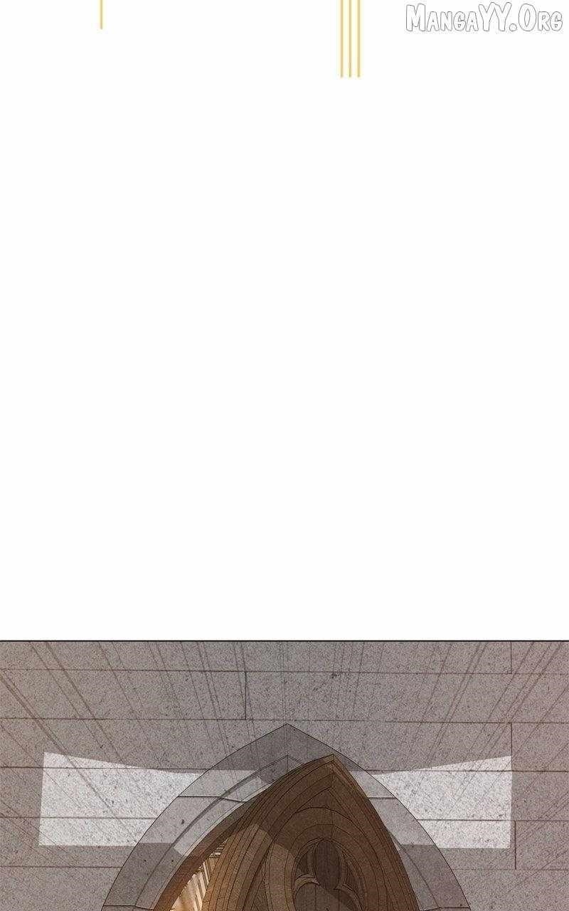 Chapter 213 (Image 34)