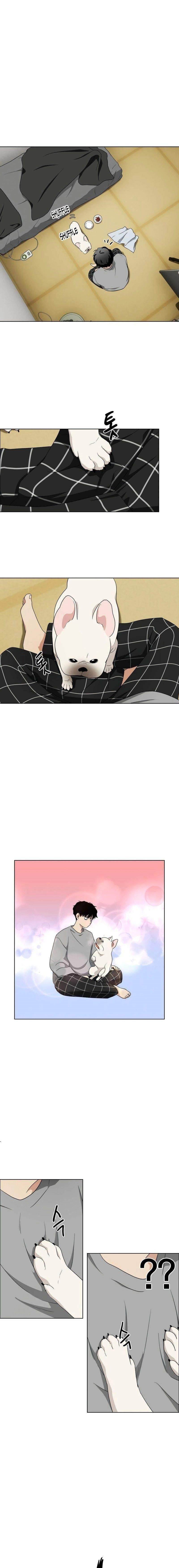Chapter 1 (Image 47)