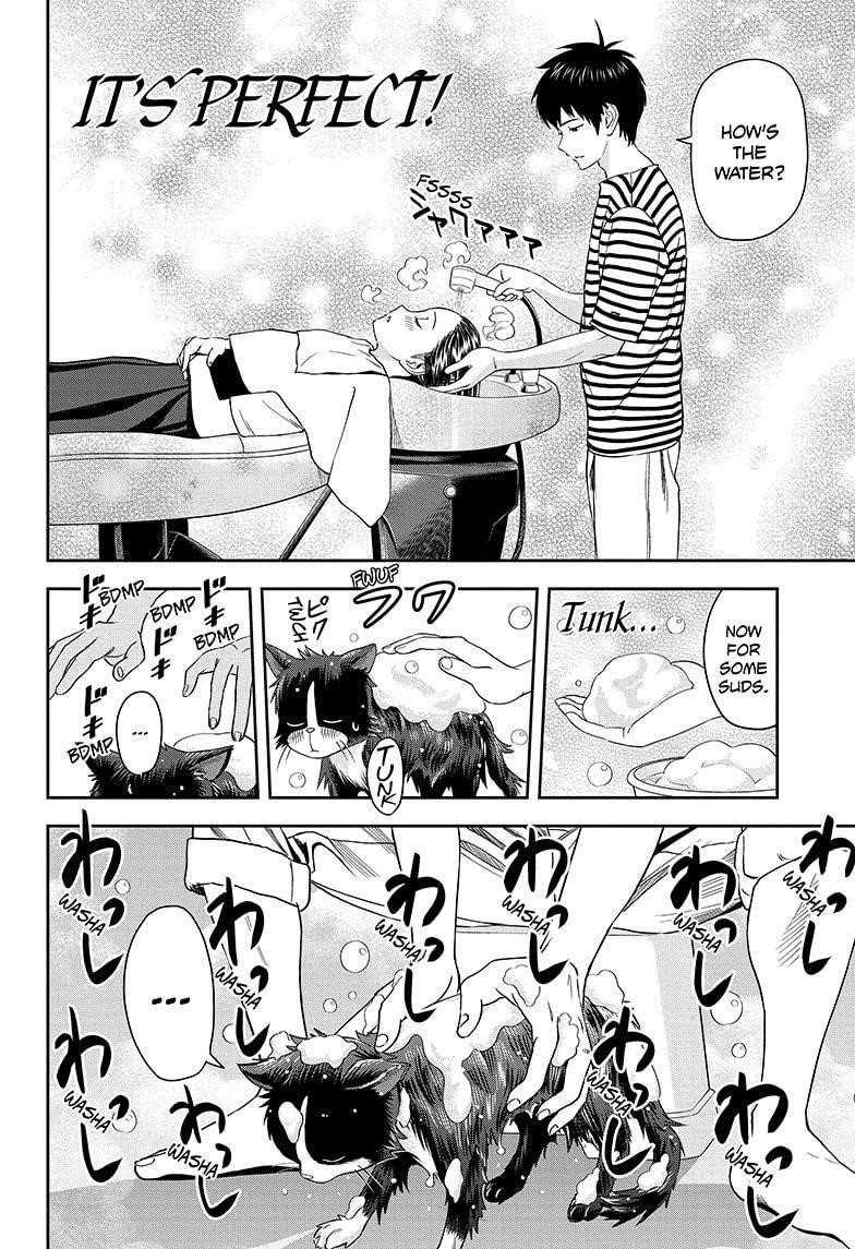 Chapter 21 (Image 8)