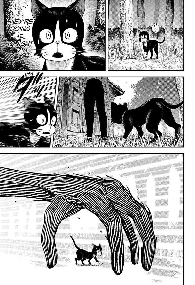 Chapter 24 (Image 15)